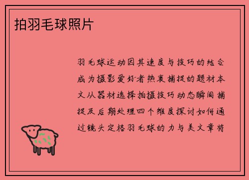 拍羽毛球照片